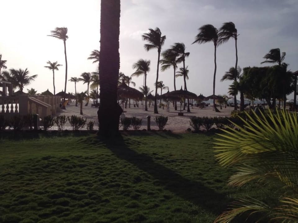 Ausblick vom Zimmer zum Strand. Manchebo Beach Resort & Spa