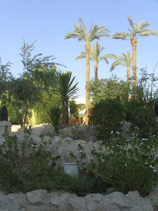 Gartenanlage Ghazala Gardens