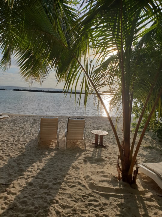 Strand Summer Island Maldives