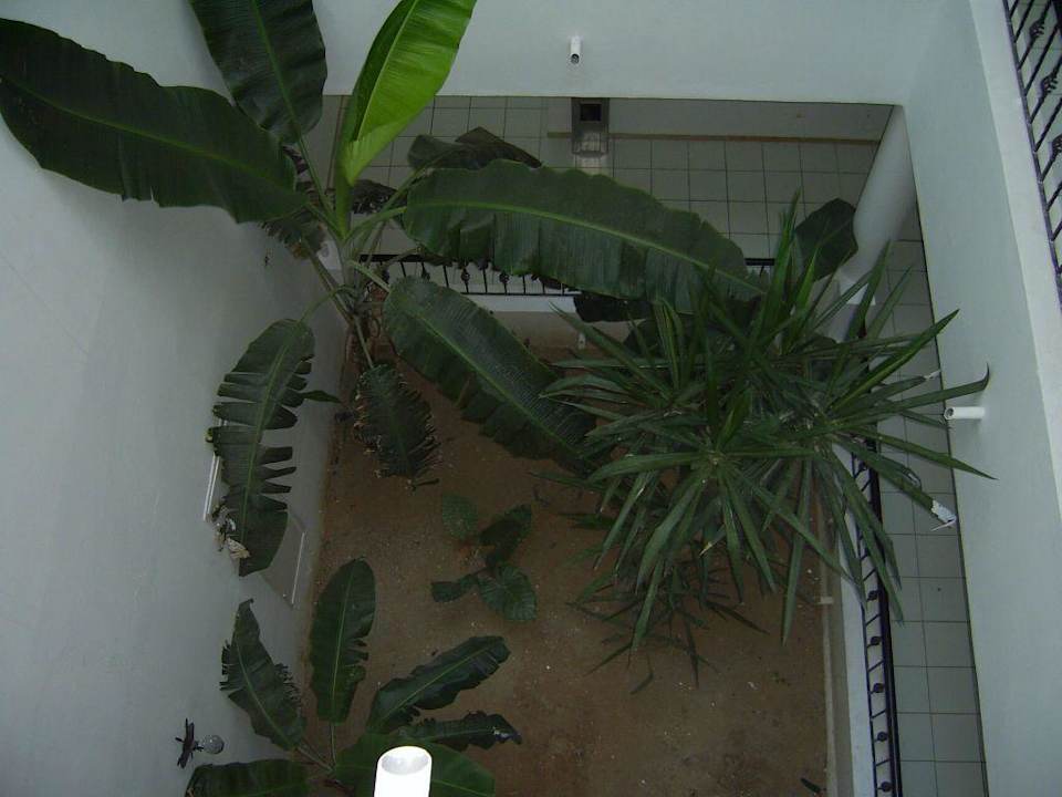 bananier Hotel Nesrine