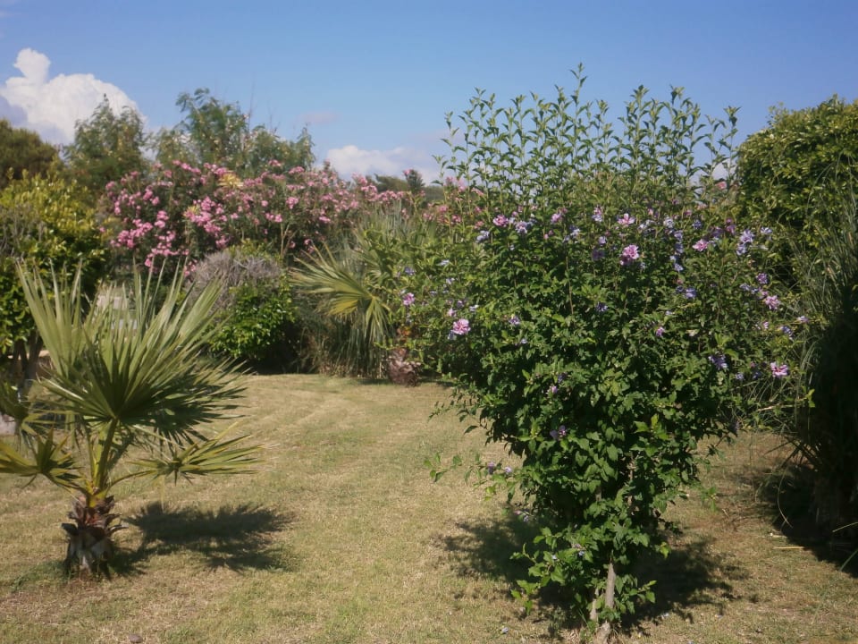 Wunderschön angelegen Bella Resort & Spa