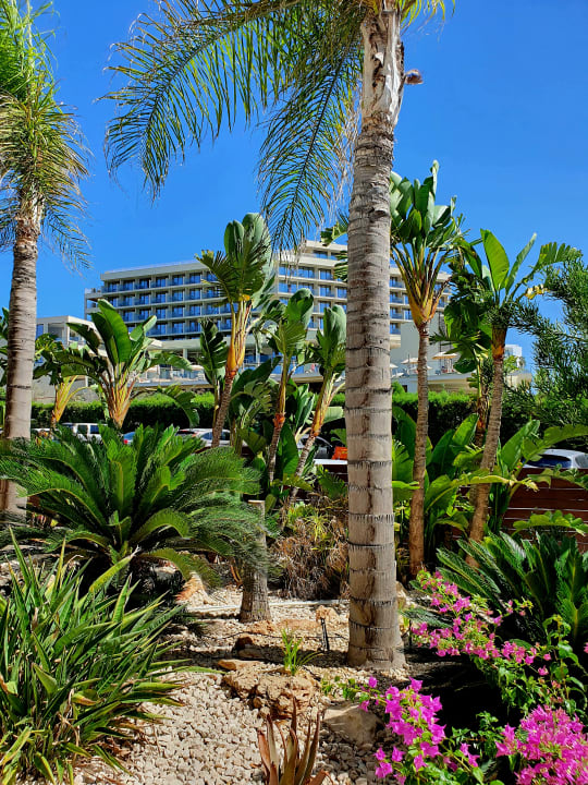 Außenansicht Napa Mermaid Hotel & Suites