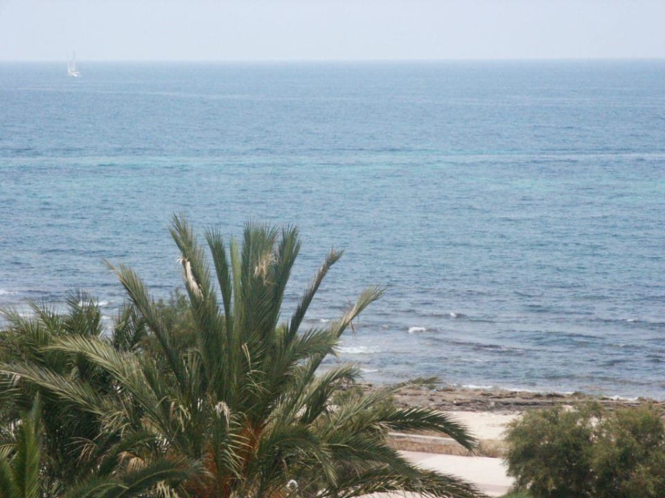 Blick Richtung Meer Aparthotel Playa Dorada