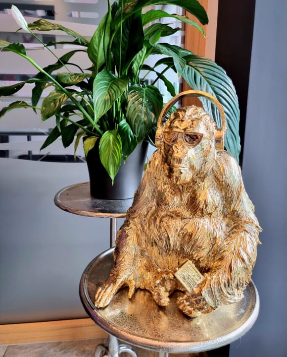 Sonstiges AVALON Hotel Bad Reichenhall