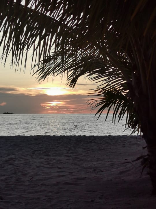 Ausblick Filitheyo Island Resort