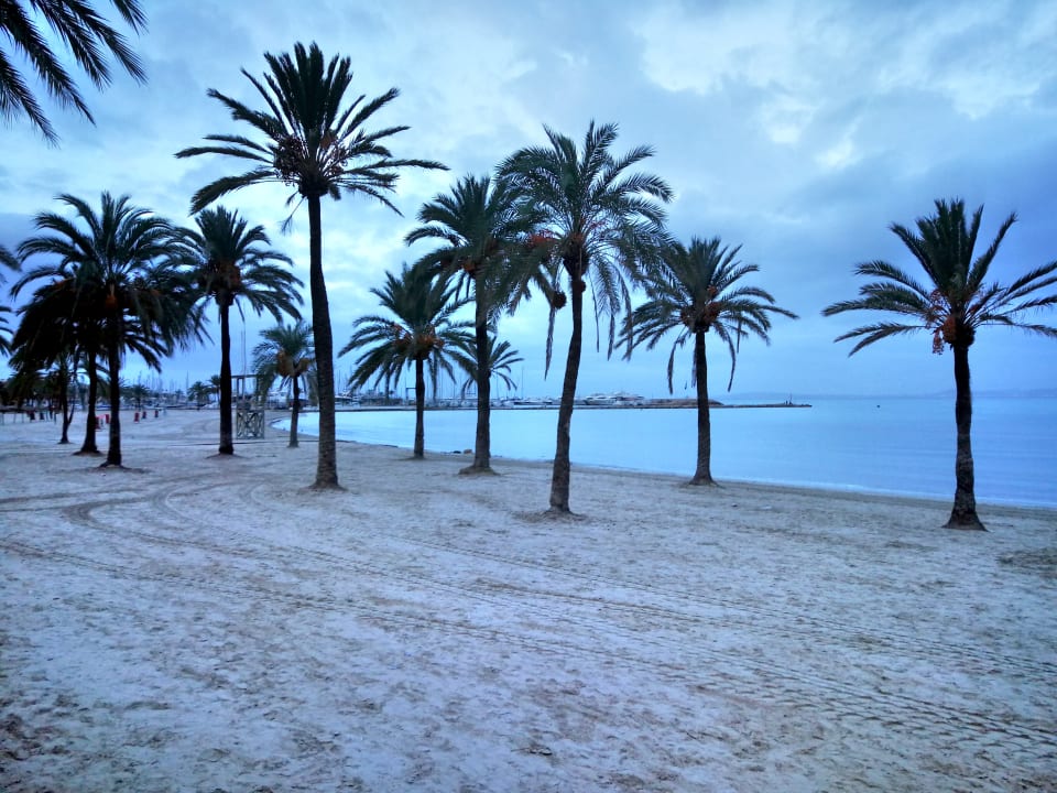 Strand whala!beach
