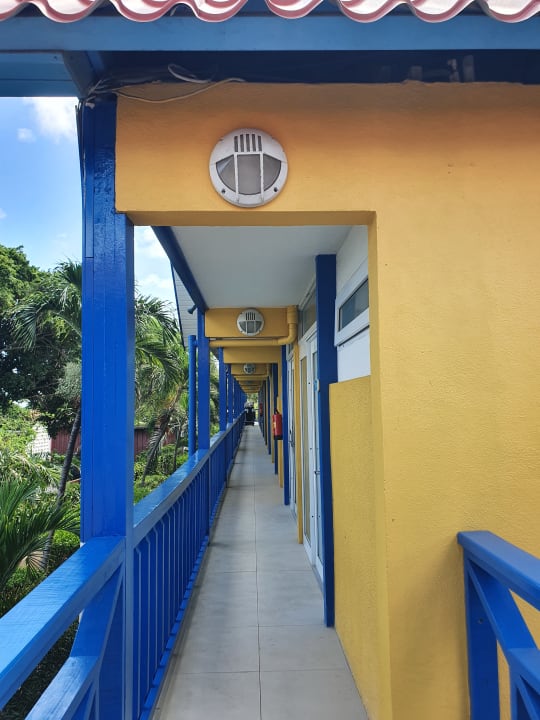 Zimmer Divi Flamingo Beach Resort