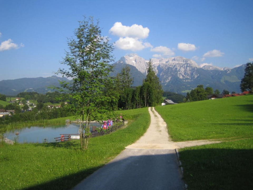 Blick auf den Schwimmteich Naturhotel Reissenlehen