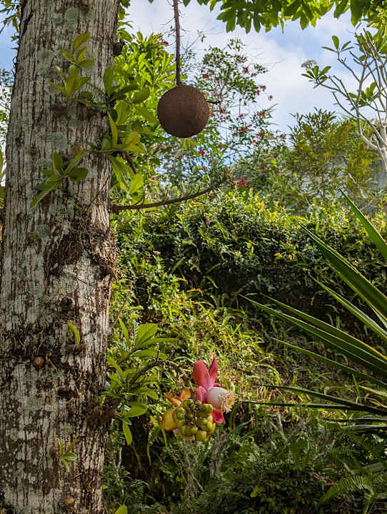 Gartenanlage Lahana Resort Phu Quoc