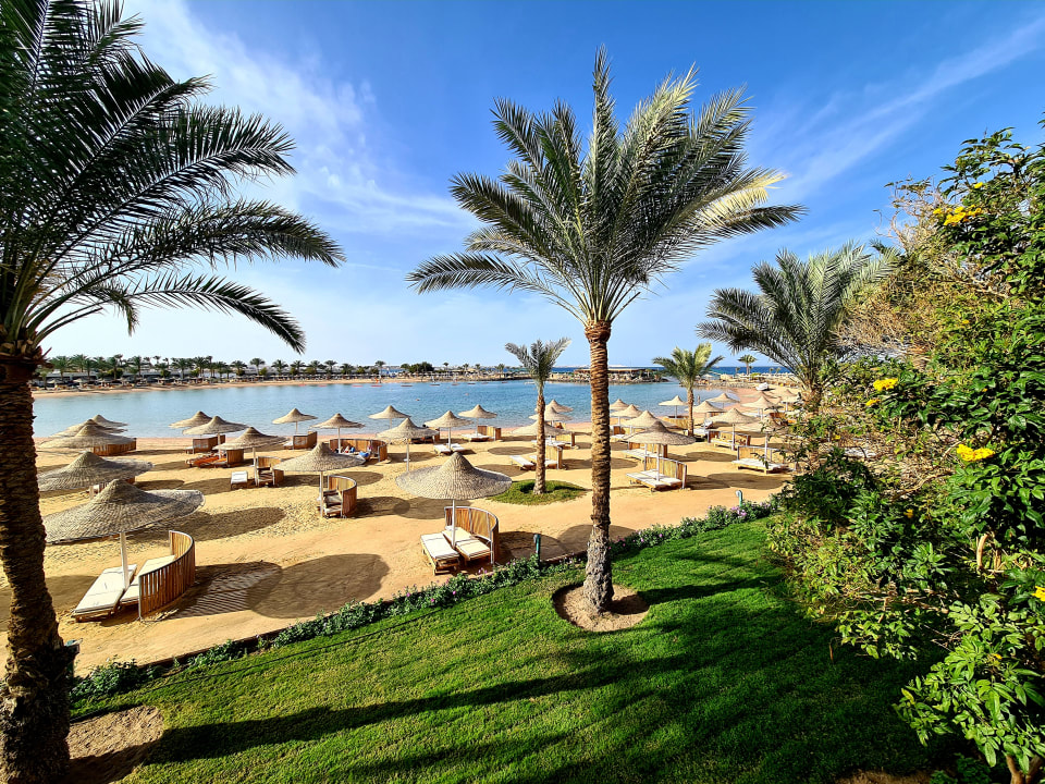 Ausblick Desert Rose