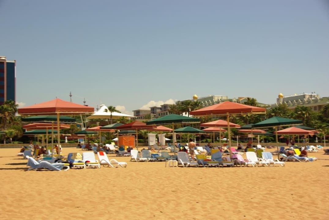 Vom 23.5. aufgenommen Kamelya Aishen Club