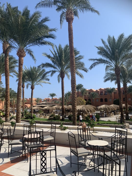 Gastro Jaz Makadi Oasis Resort