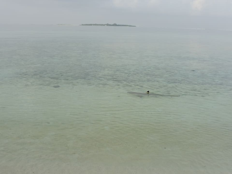 Strand Gangehi Island Resort