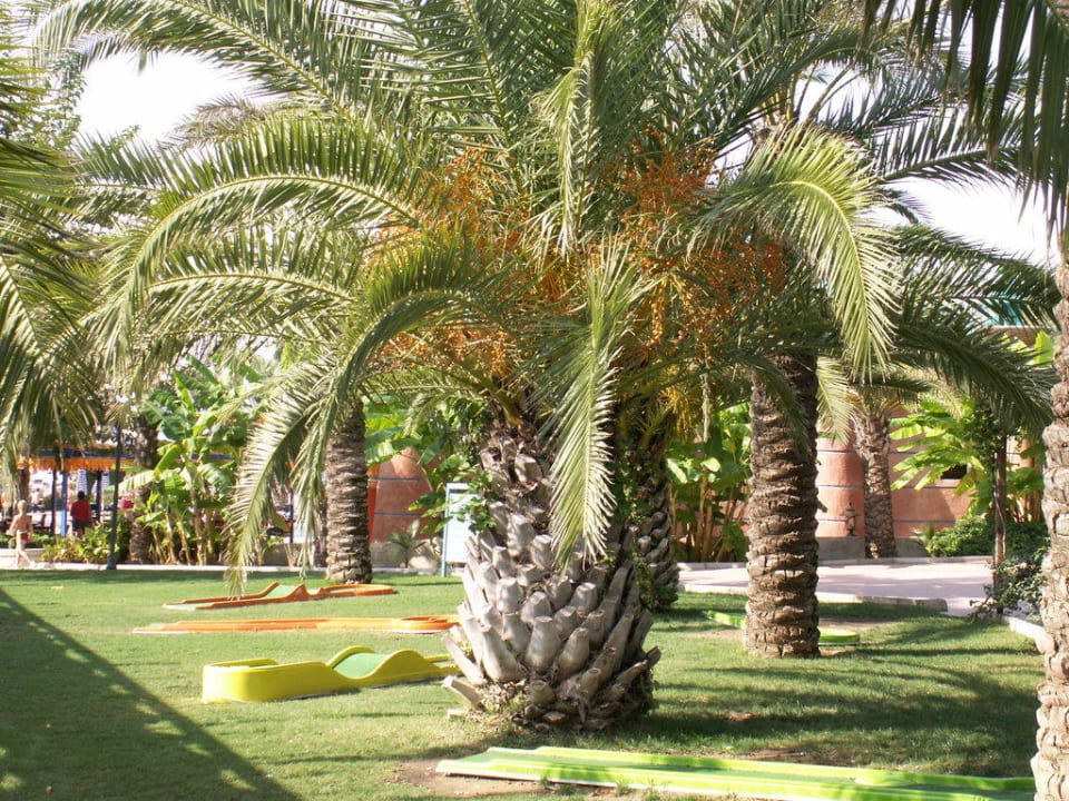 Minigolfanlage Kamelya Collection Fulya Hotel