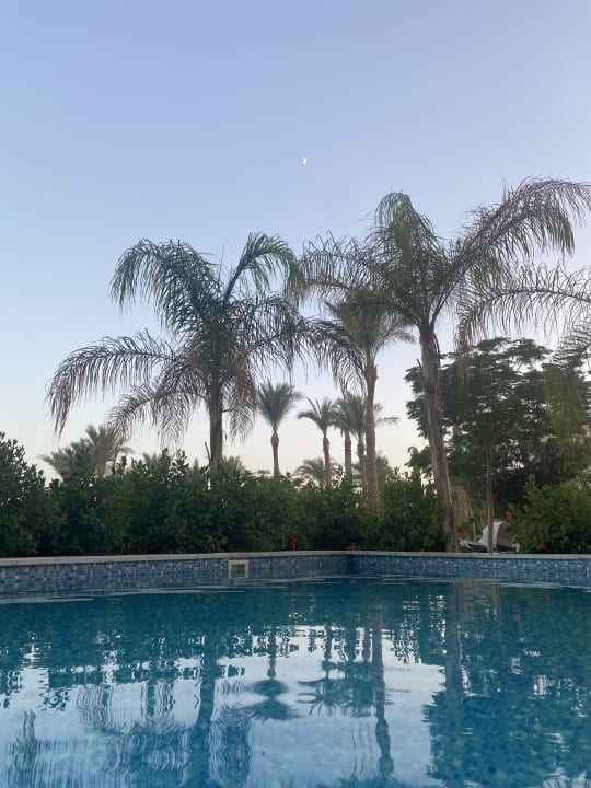 Zimmer The Grand Palace - Adults only