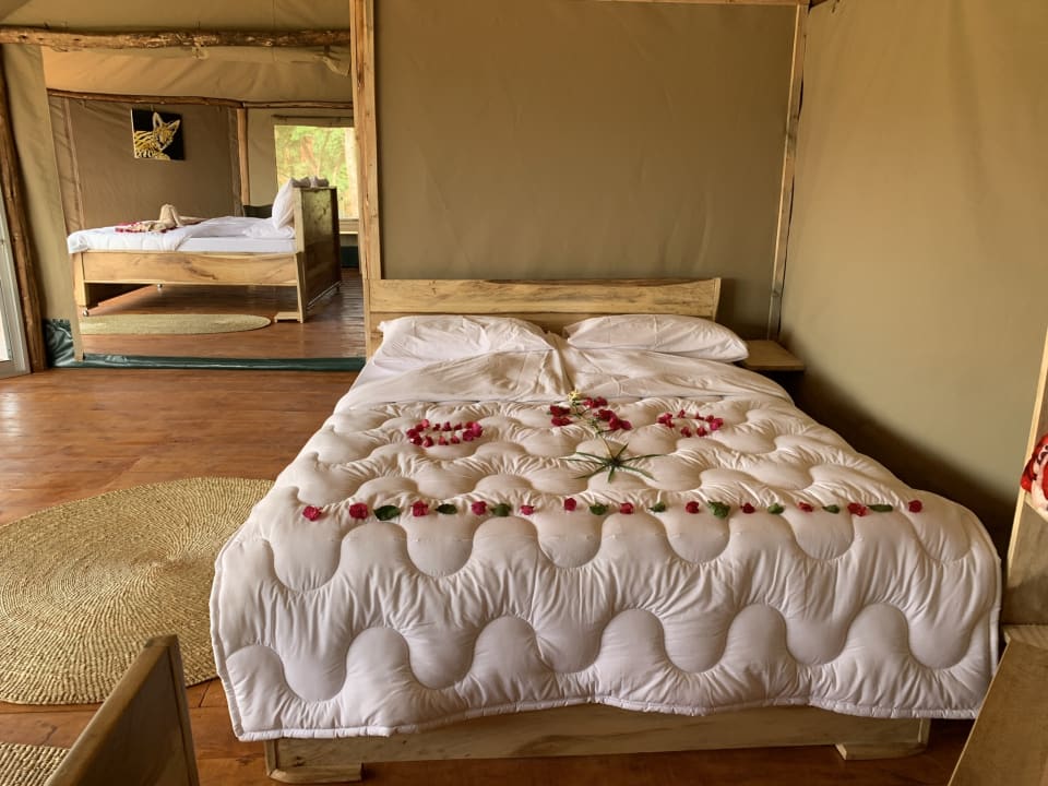 Zimmer Foresight Eco Lodge & Safari