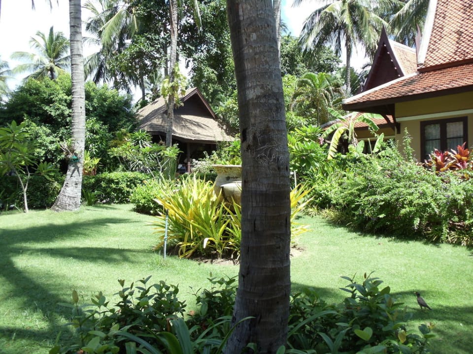 Bungalow 8901 The Fair House Beach Resort