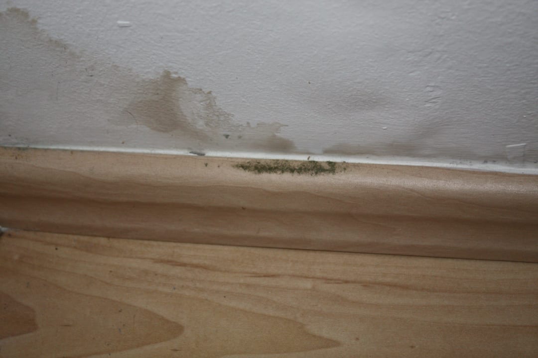 Schimmel an der Wand Hotel Panorama