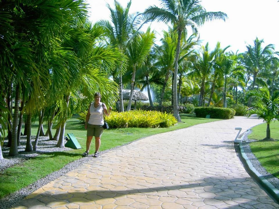 Der Tropische Park Catalonia Punta Cana - All Inclusive