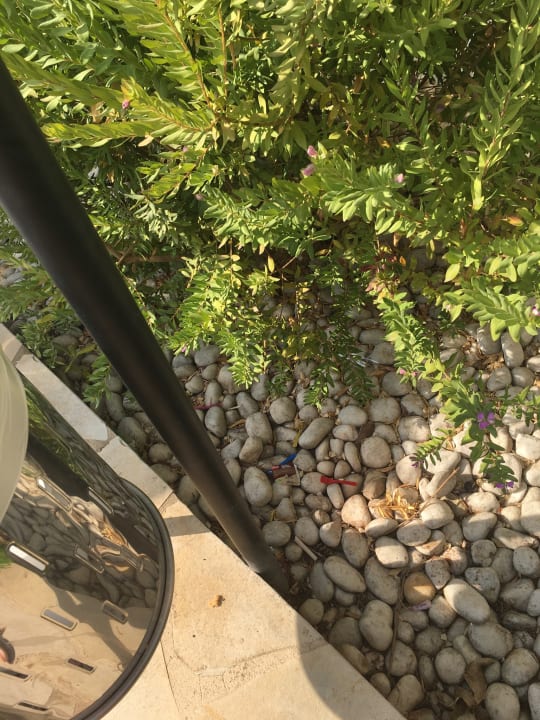 Garten Club Simó Hotel by Senator