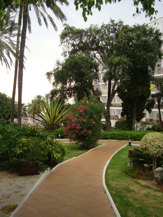 Gartenanlage Hotel Best Siroco