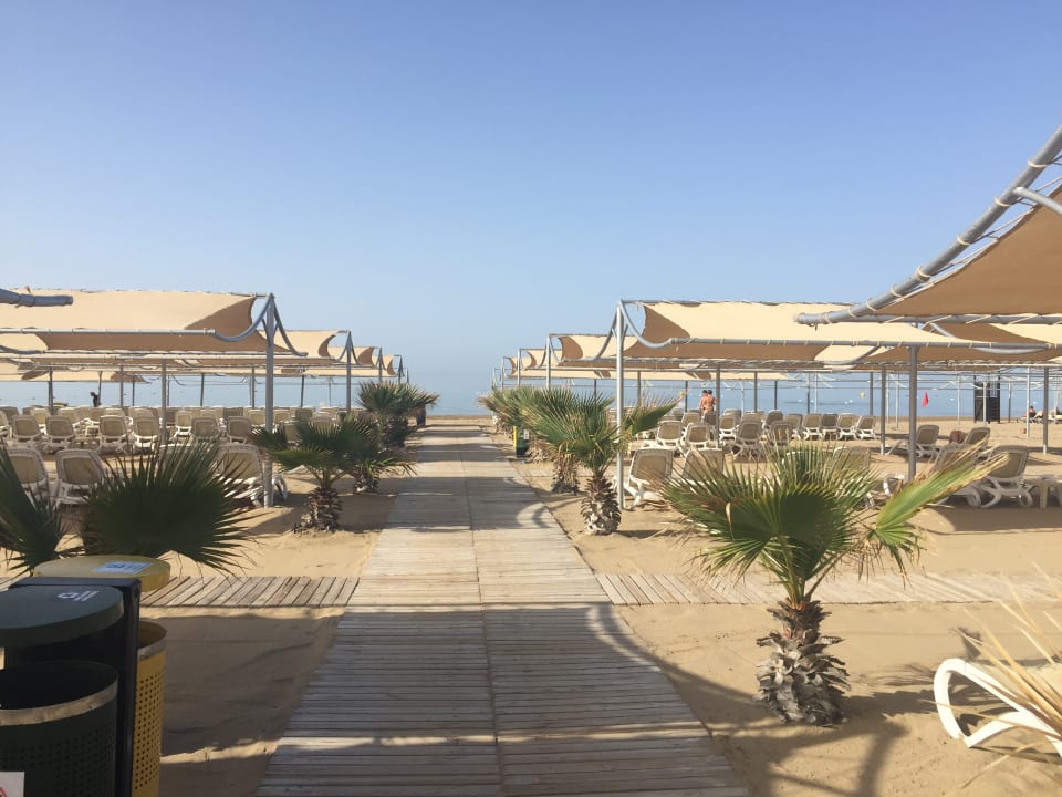 Was braucht man mehr (Meer) Hotel Royal Dragon