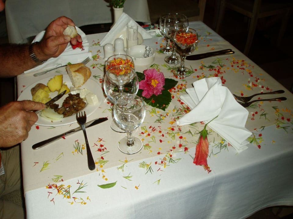 Geburtstag 2 Can Garden Resort