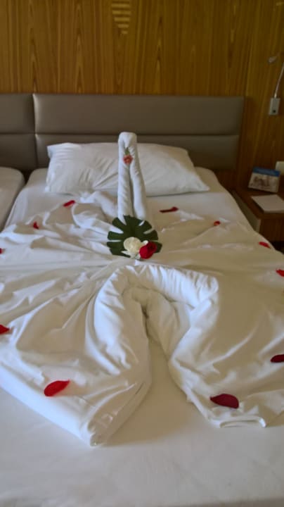 Zimmer PALOMA Perissia