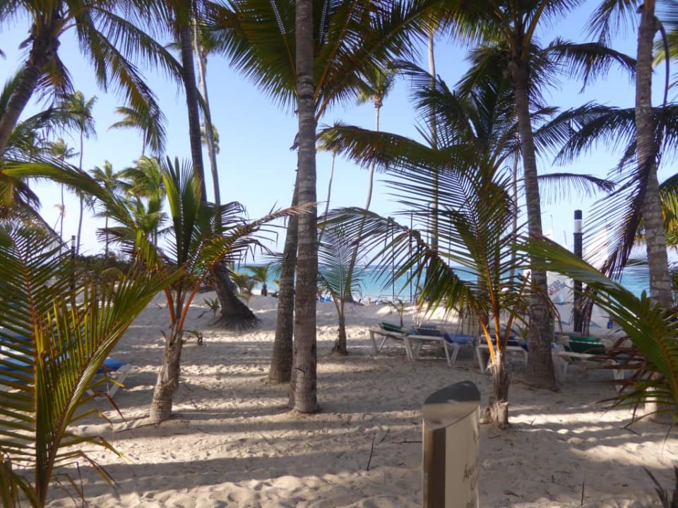 Plaża Hotel Riu Palace Macao - Adults only