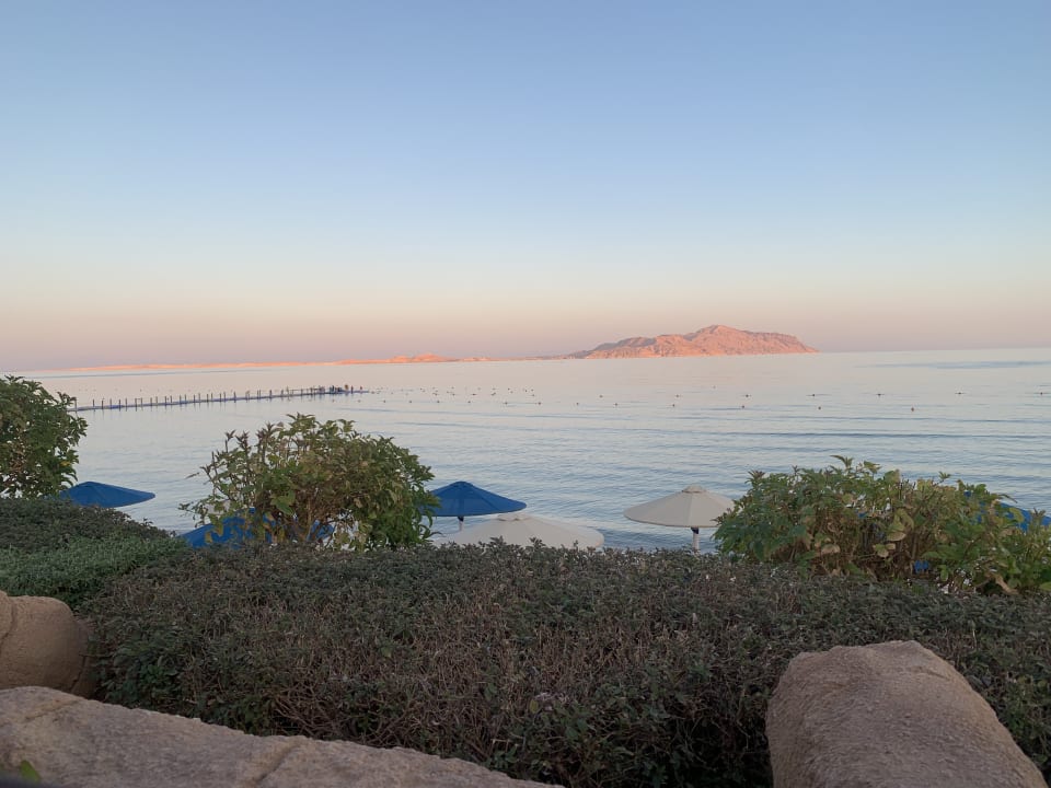 Ausblick Pickalbatros Palace Resort