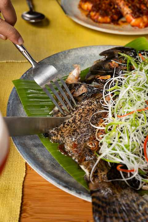 Zimmer JATI Koh Russey