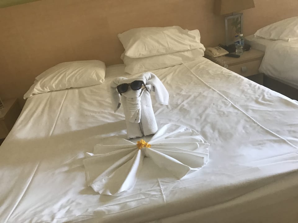 Zimmer PALOMA Perissia