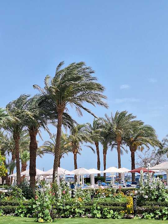 Außenansicht Amarina Abu Soma Resort & Aquapark