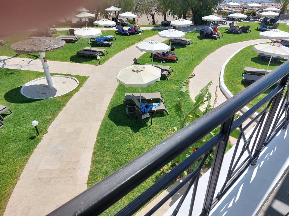 Gartenanlage Hotel Calypso Beach