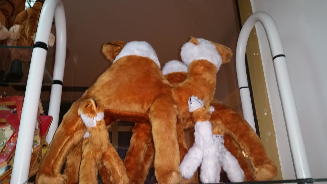 Im Hotelshop Hotel Amir Palace