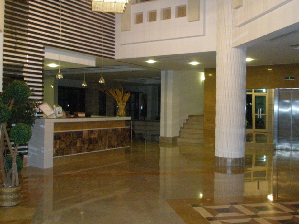 Lobby Trendy Palm Beach (Adults Only, 16+)