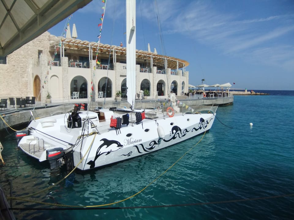 Ausblick Pickalbatros Citadel Resort