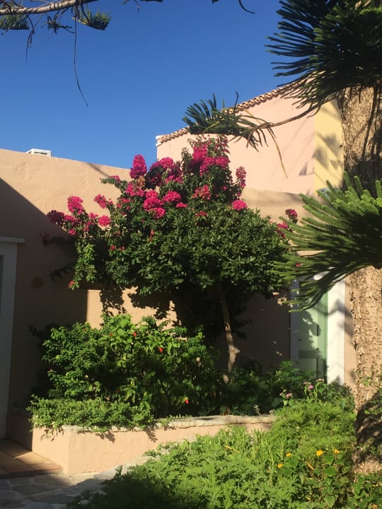 Gartenanlage Silva Beach Hotel
