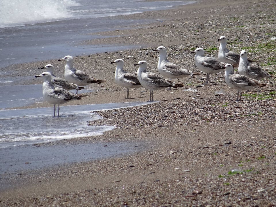Strandbeschaffenheit Sunmelia Beach Resort