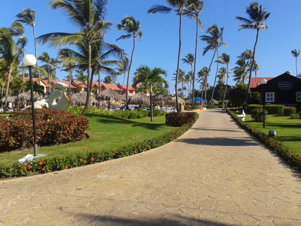 Gang zum Strand Punta Cana Princess All Suites Resort & Spa