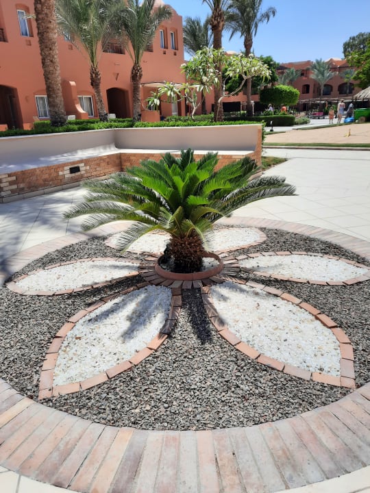 Gartenanlage Jaz Makadi Oasis Resort