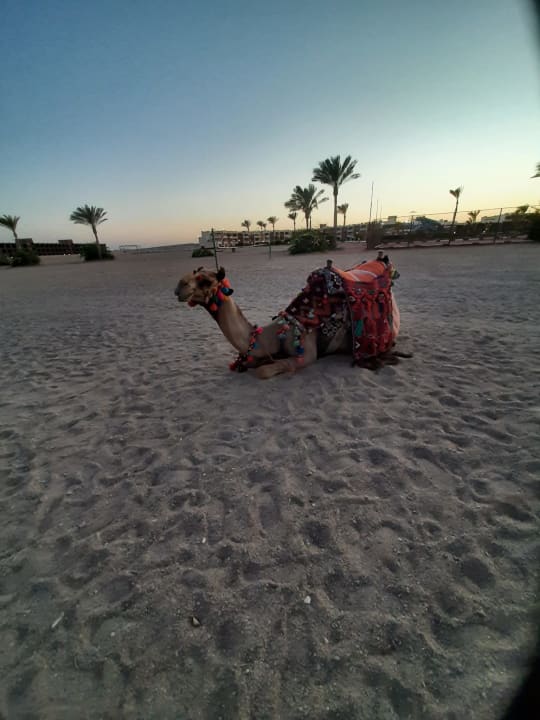 Strand Bliss Nada Beach Resort