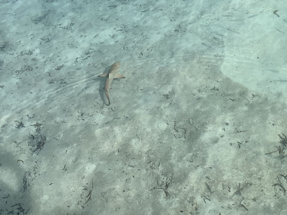 Strand Adaaran Select Hudhuran Fushi - Premium All Inclusive