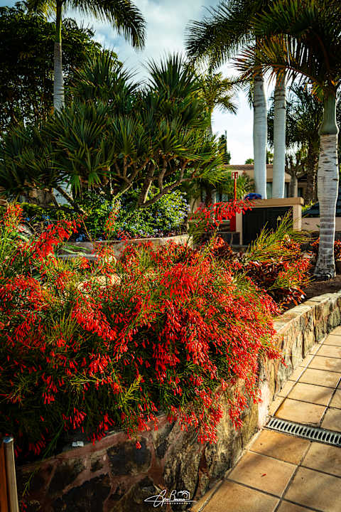 Gartenanlage allsun Hotel Esplendido