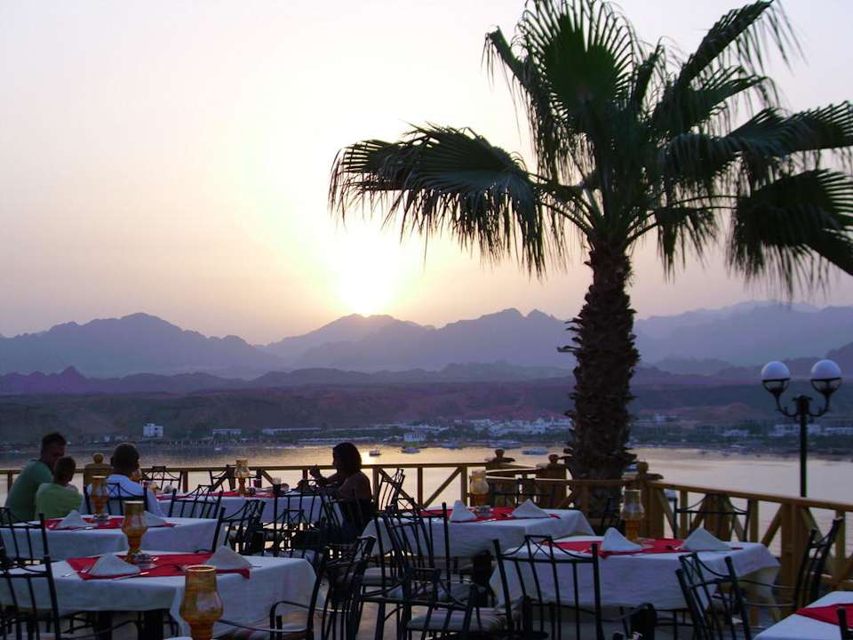 Vordere Aussenterrasse Albatros Sharm Resort