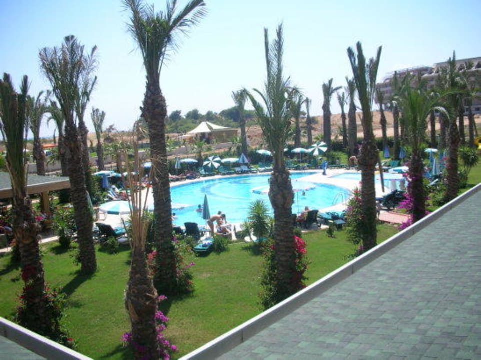 The pool Calimera Hane Garden