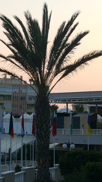 Sonstiges Hotel Club Paradiso