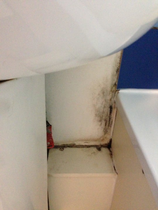 Schwarze Flecken (Schimmel) Bad Ibis Styles London Walthamstow