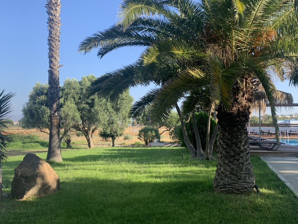 Gartenanlage Summer Village of Hippokrates - Adults only