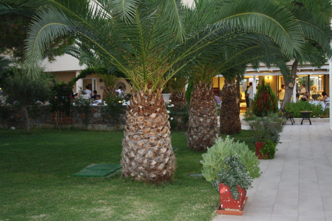 Weg zurm Essen High Beach Resort